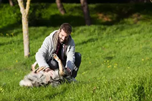Mid Adult Man Prints: Man playing with dog in park grass