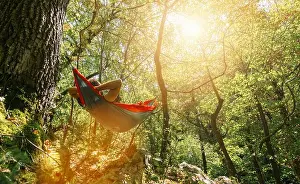 Sleep Prints: man relaxing in the hammock hanging among the trees in the forest