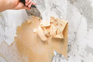Atomizer Prints: A man removes old wallpaper with a spatula and a spray bottle with water