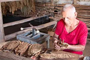 Havana Prints: Man rolling a cigar at Robaina cigar factory in Vinales, Cuba