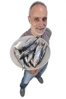 Sardine Prints: man with sardine on white background