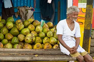 Coconuts Prints: Man selling coconuts at a stall by the roadside in India