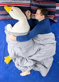Feel Prints: A man sleeps on a bed in an embrace with a large plush toy - stuffed goose
