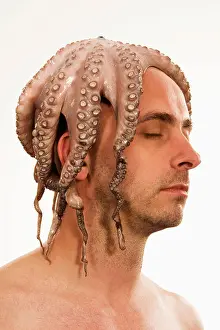 25 30 Years Prints: Man with squid on head