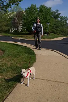 Leash Prints: Man walking a chihuahua on a leash