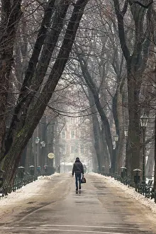 Surrounded Prints: Man walking along path surrounded by trees, in winter, carrying a bag