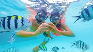 Masks Prints: A man and a woman enjoy underwater swimming with fish in a leisurely manner