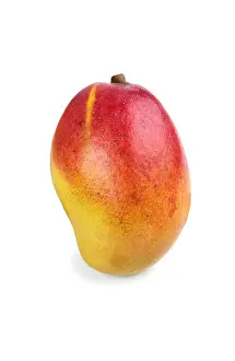 Mango Prints: Mango
