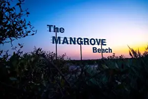 Mangrove beach entrance board and forest in the desert of Umm al Quwain emirate of the United Arab Emirates