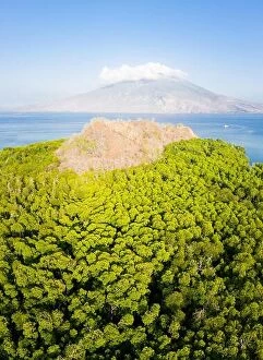 Images Dated 26th September 2019: A mangrove forest fringes an island near the volcano of Iliape in the Lesser Sunda Islands