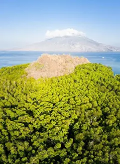 Ring Of Fire Prints: A mangrove forest fringes an island near the volcano of Iliape in the Lesser Sunda Islands