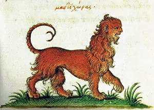 Folkloric Prints: Manticore from a Greek manuscript of Liber de proprietatibus animalium, 16th century