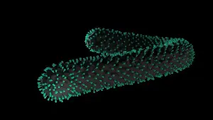 Rash Prints: Marburg virus, 3d rendering medical science illustration