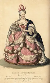 Fine Arts Prints: Marie Antoinette, queen of King Louis XVI of France
