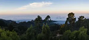 Bay Area Prints: The marine layer, a moist air mass developing over the Pacific in the presence of a temperature inversion