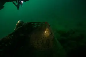 Scuba Diver Prints: Marine Life of Port Philip bay, Australia