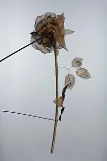2002 Prints: A marionette from the Compagnie Dominique Houdart-Jeanne Heuclin