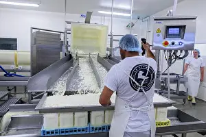 Nord Prints: Maroilles is frech AOC approved cow's milk made in northern France Fabrication du Maroilles
