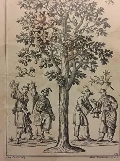 Martin Engelbrecht Chinesen unter einem Baum