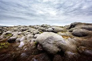 Marvelous Iceland landscape with lava field covered with brown moss Eldhraun from volcano eruption and cloudy sky