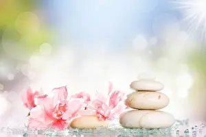 Aromatherapy Prints: Massage concept - Black spa stones and pink flower on white backgroundon white background