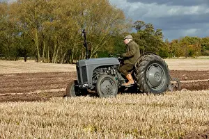 Plough Prints: Massey Ferguson TE20 Little Grey Fergie Ploughing Stubble Field UK