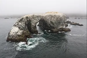 Sea Stacks Prints: A massive sea stack, formed by the erosive powers of wind and water