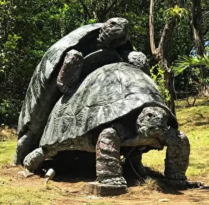 Mating Prints: Mating Tortoise Statue - Mustique Island, St.Vincent and the Grenadines