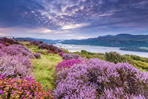 Gwynedd Prints: Mawddach Estuary seen from the Panorama Walk above Barmouth