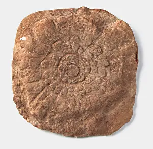 Trace Prints: Mawsonites (Trace fossil), petal-like impression in sandstone, late Precambrian era