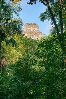 Images Dated 29th February 2016: Maya Ruins - Temple IV, Tikal National Park, Guatemala, Yucatan, UNESCO