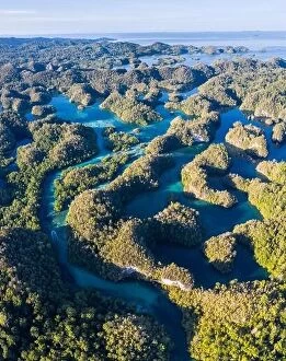 Images Dated 28th January 2020: A maze of limestone islands rises from a remote lagoon in the island of Gam, Raja Ampat