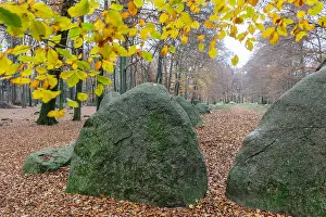 In The Open Prints: Megalithic chambered tomb, Wildeshausener Geest