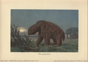 Laziness Prints: Megatherium americanum (Great Beast)