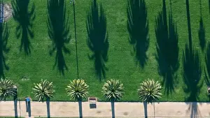 Landscape Design Prints: Melbourne Australia. Catani Gardens in St Kilda palm trees casting shadows
