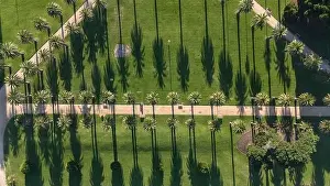 Landscape Design Prints: Melbourne Australia. Catani Gardens in St Kilda palm trees casting shadows