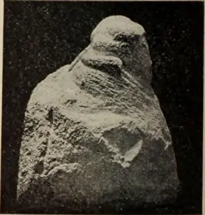Bookyear1906 Prints: Memoirs of the Bernice Pauahi Bishop Museum