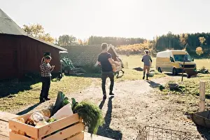 Back Lit Prints: Men carrying crates full of vegetables at farmers market