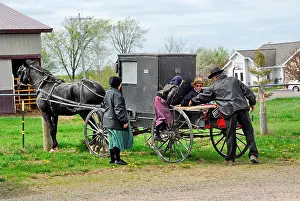 Mennonite horse and buggy at the Central Wisconsin Produce Auction in Withee, Wisconsin