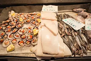 Santiago De Chile Prints: Mercado Central Seafood Jivia And Scallops Santiago Chile // SANTIAGO