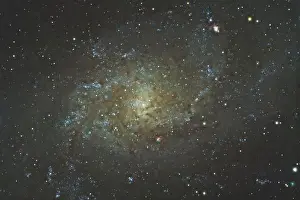 Night Sky Prints: Messier 33, the Triangulum Galaxy