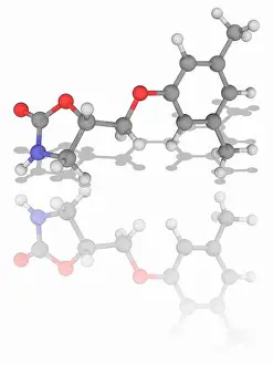 Pharmaceutics Prints: Metaxalone. Molecular model of the drug metaxalone (C12)