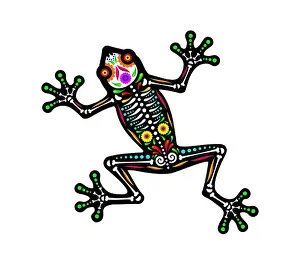 Frog Prints: Mexican frog animal tattoo. Isolated vector Dia de los Muertos figure of toad amphibian