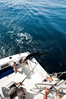 Catching Prints: Mexico, Puerto Vallarta. Deep sea sportfishing for sailfish Puerto Vallarta, Mexico