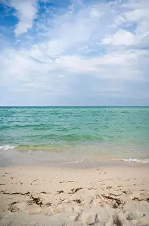 Coastal Beauty Prints: Miami Beach, North Shore Open Space Park, Lummus Park to South Pointe Park, Miami, FL, USA