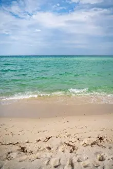 Coastal Beauty Prints: Miami Beach, North Shore Open Space Park, Lummus Park to South Pointe Park, Miami, FL, USA