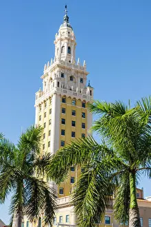 Exile Prints: Miami Florida, Biscayne Boulevard