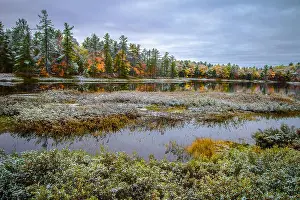 Wetlands Prints: Michigan Forest First Snow Landscape