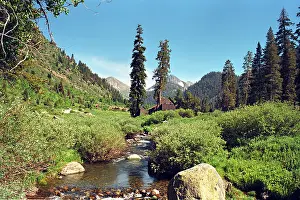 Cabin Prints: Mineral King, Sequoia National Park, California