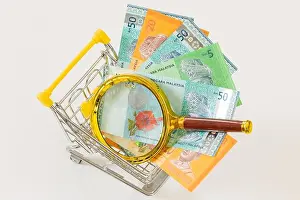 Paying Prints: A miniature shopping cart with Malaysian currency and a magnifying glass